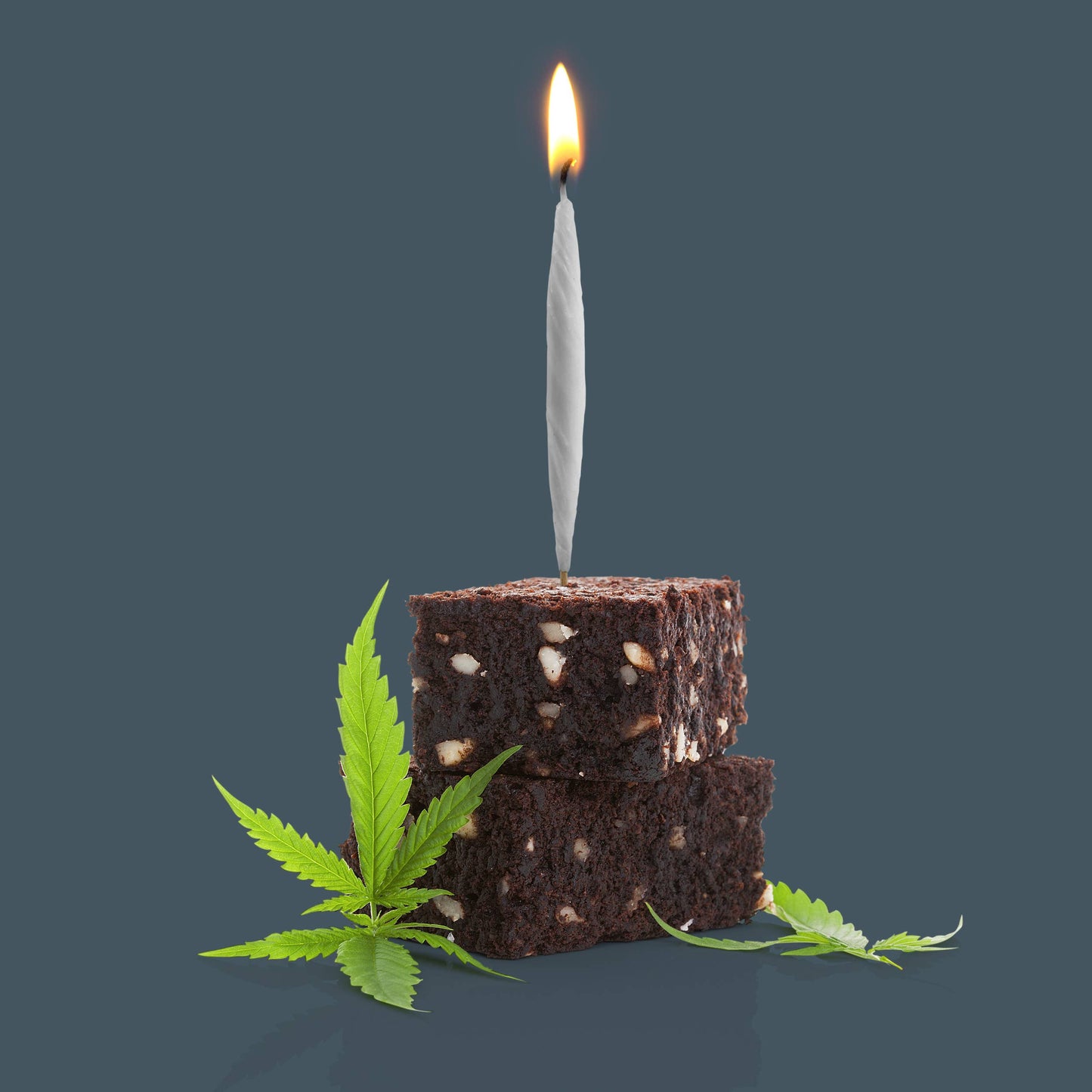 Joint Birthday Candles - Set of 6