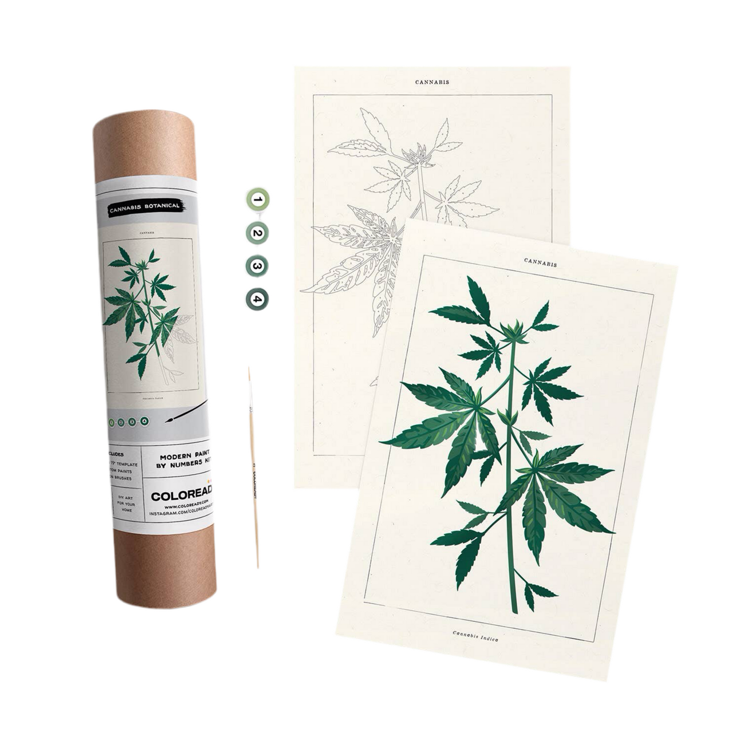 Cannabis Botanical Paint By Numbers Kit