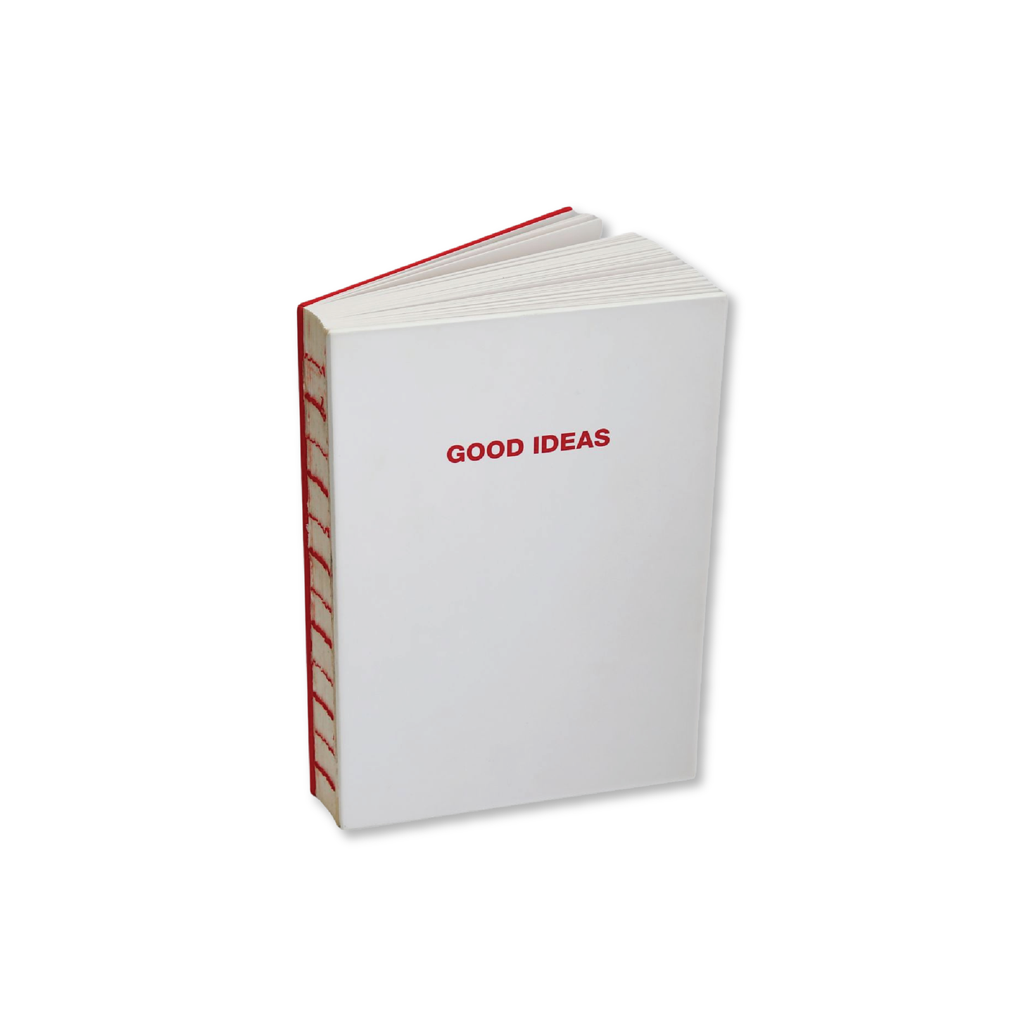 Bad Ideas / Good Ideas Notebook by Marina Abramovic