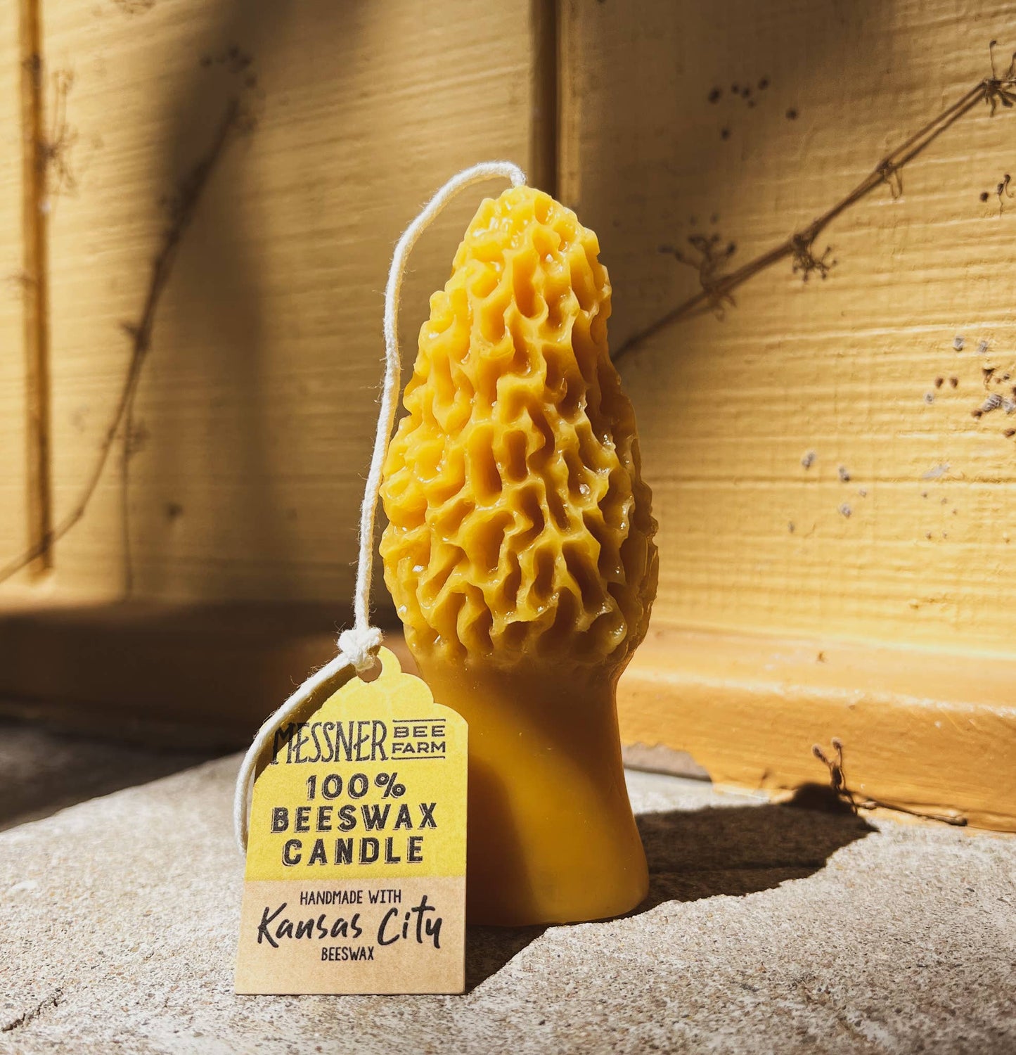 Morel Mushroom Candle - 100% Beeswax - Handmade