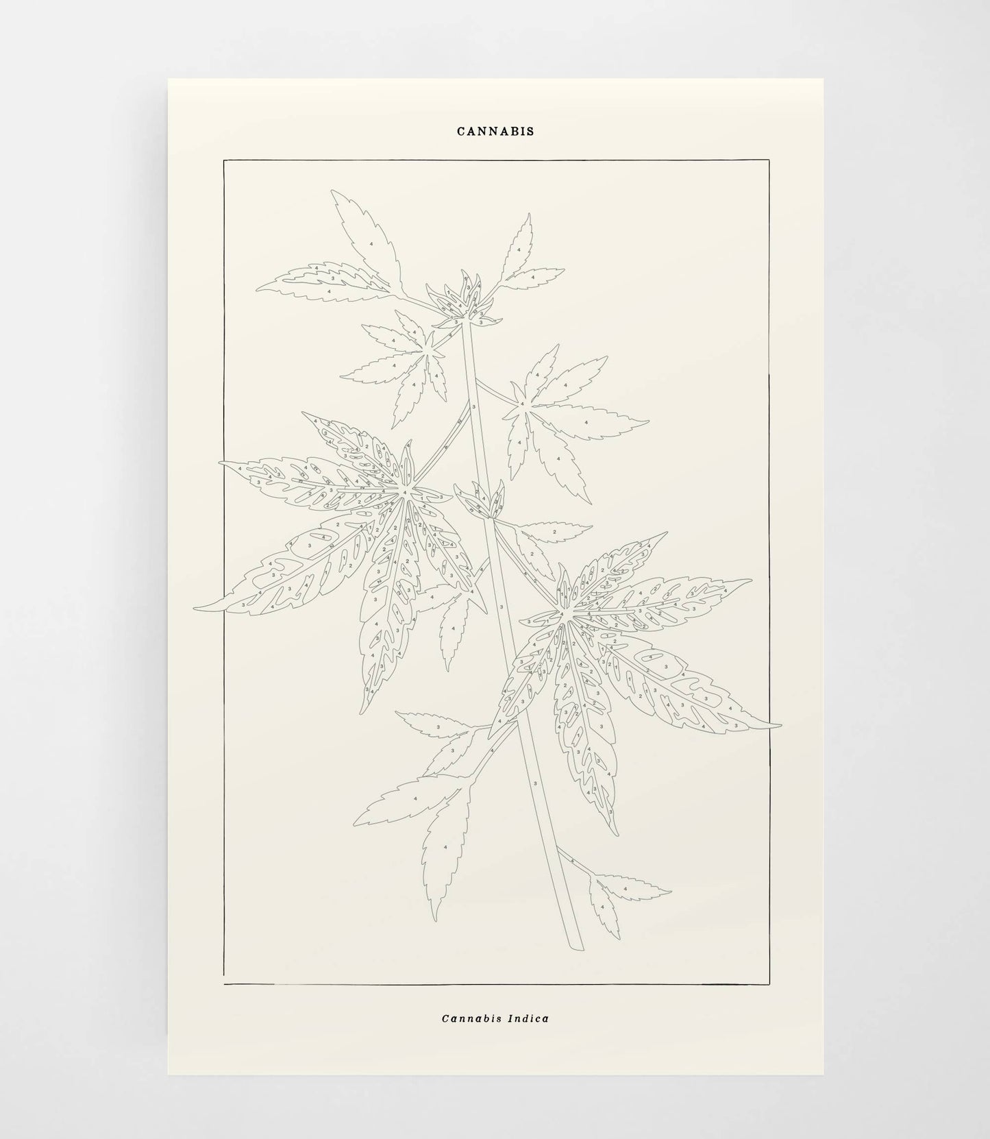 Cannabis Botanical Paint By Numbers Kit