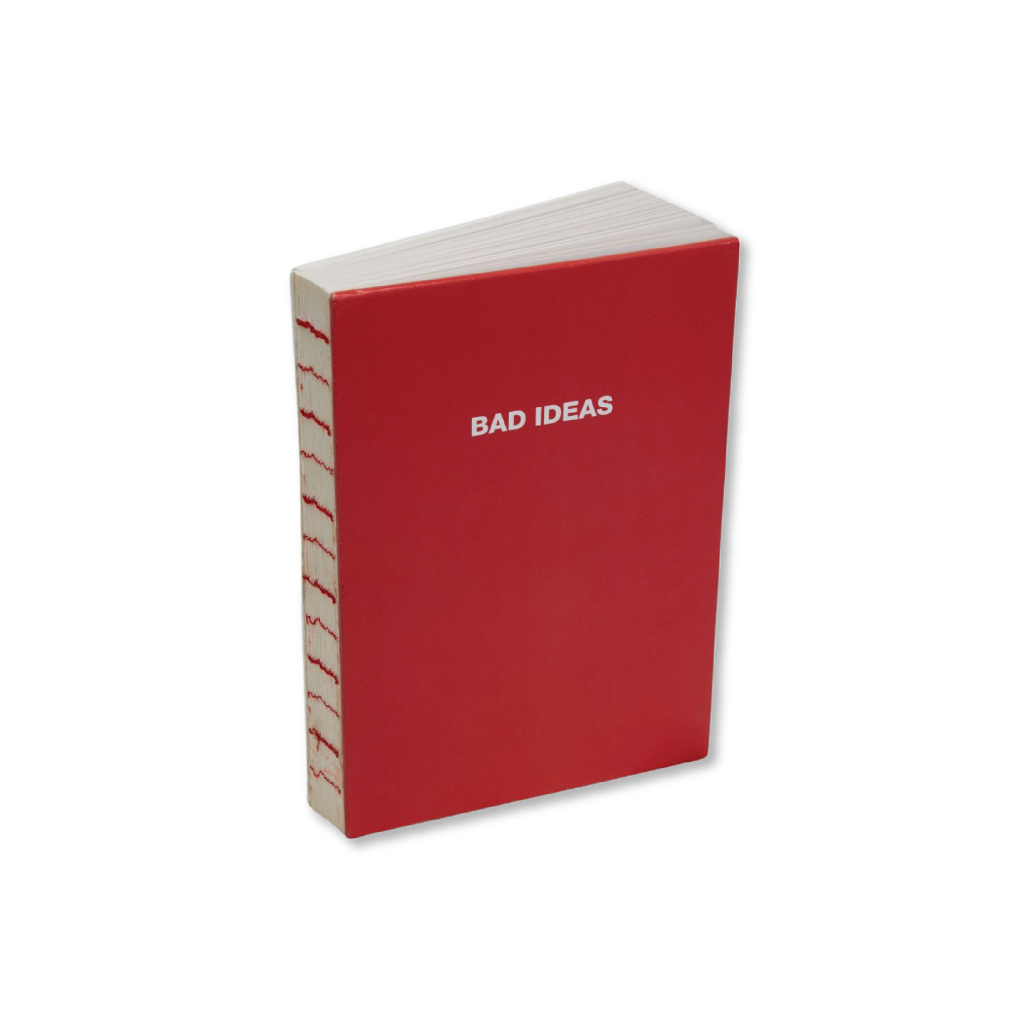 Bad Ideas / Good Ideas Notebook by Marina Abramovic