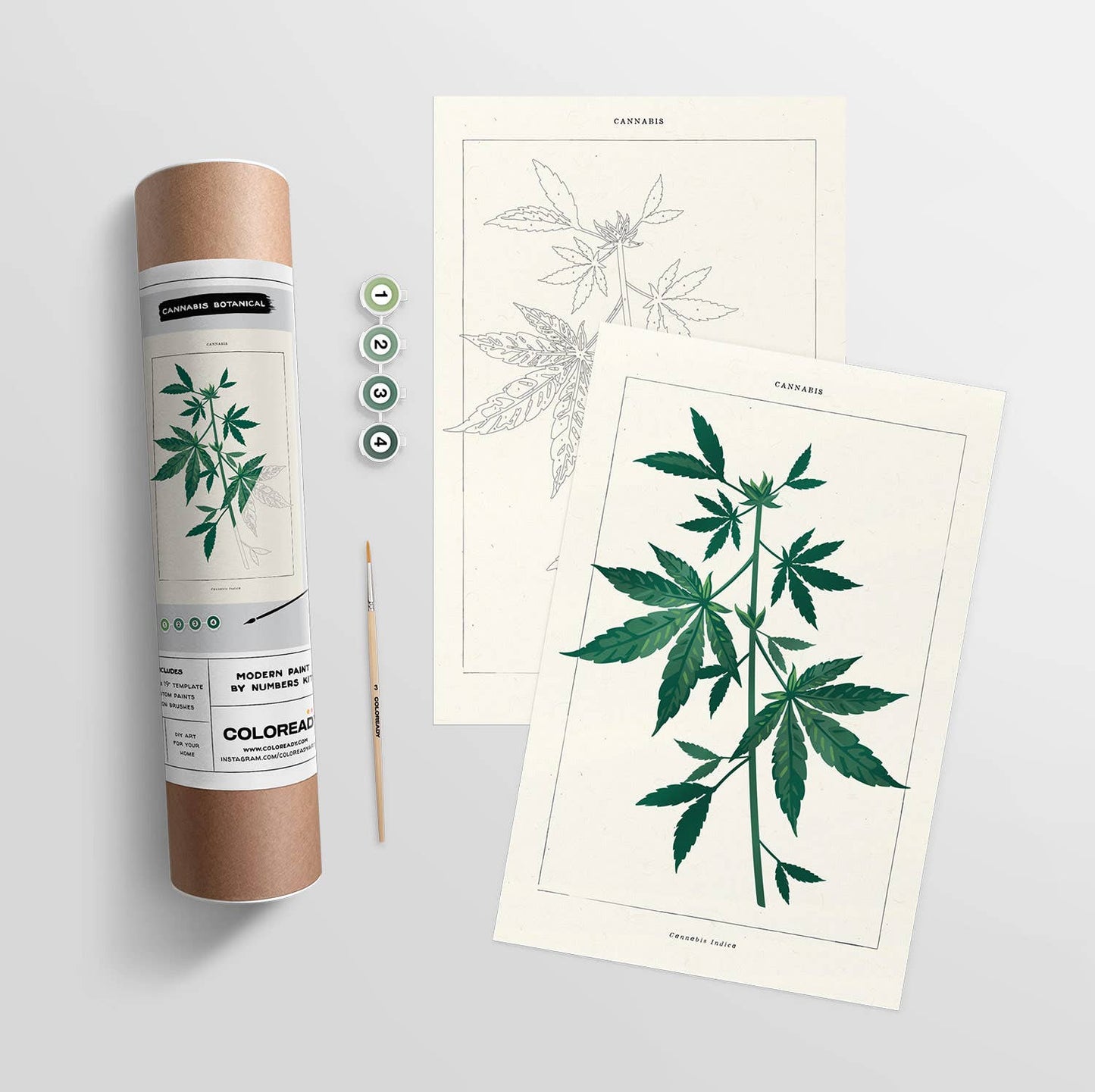 Cannabis Botanical Paint By Numbers Kit