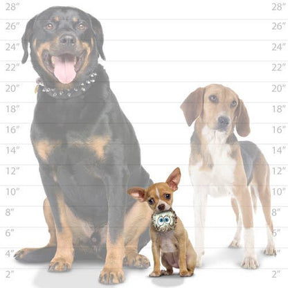Small Squeaky Dog Toys - Set of 3