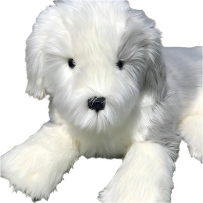 “Martha” Old English Sheepdog